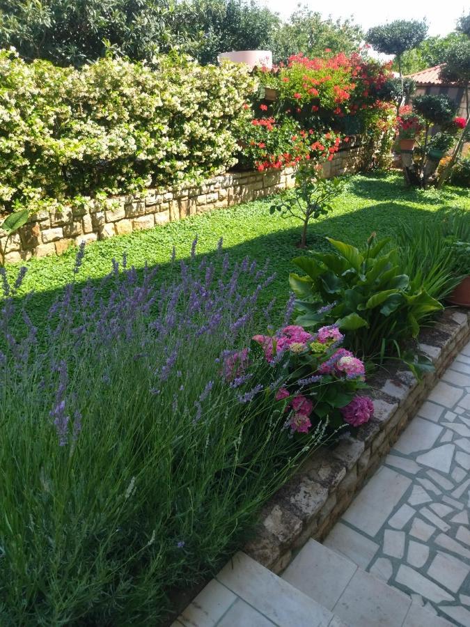 Zelena Oaza Apartment Novigrad Istria Buitenkant foto