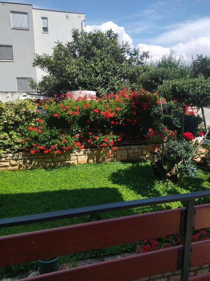 Zelena Oaza Apartment Novigrad Istria Buitenkant foto