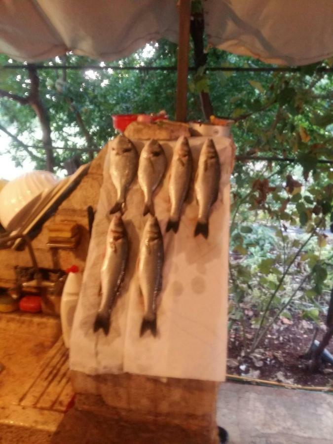 Zelena Oaza Apartment Novigrad Istria Buitenkant foto