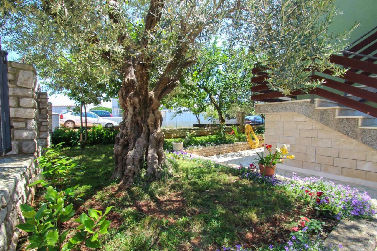 Zelena Oaza Apartment Novigrad Istria Buitenkant foto